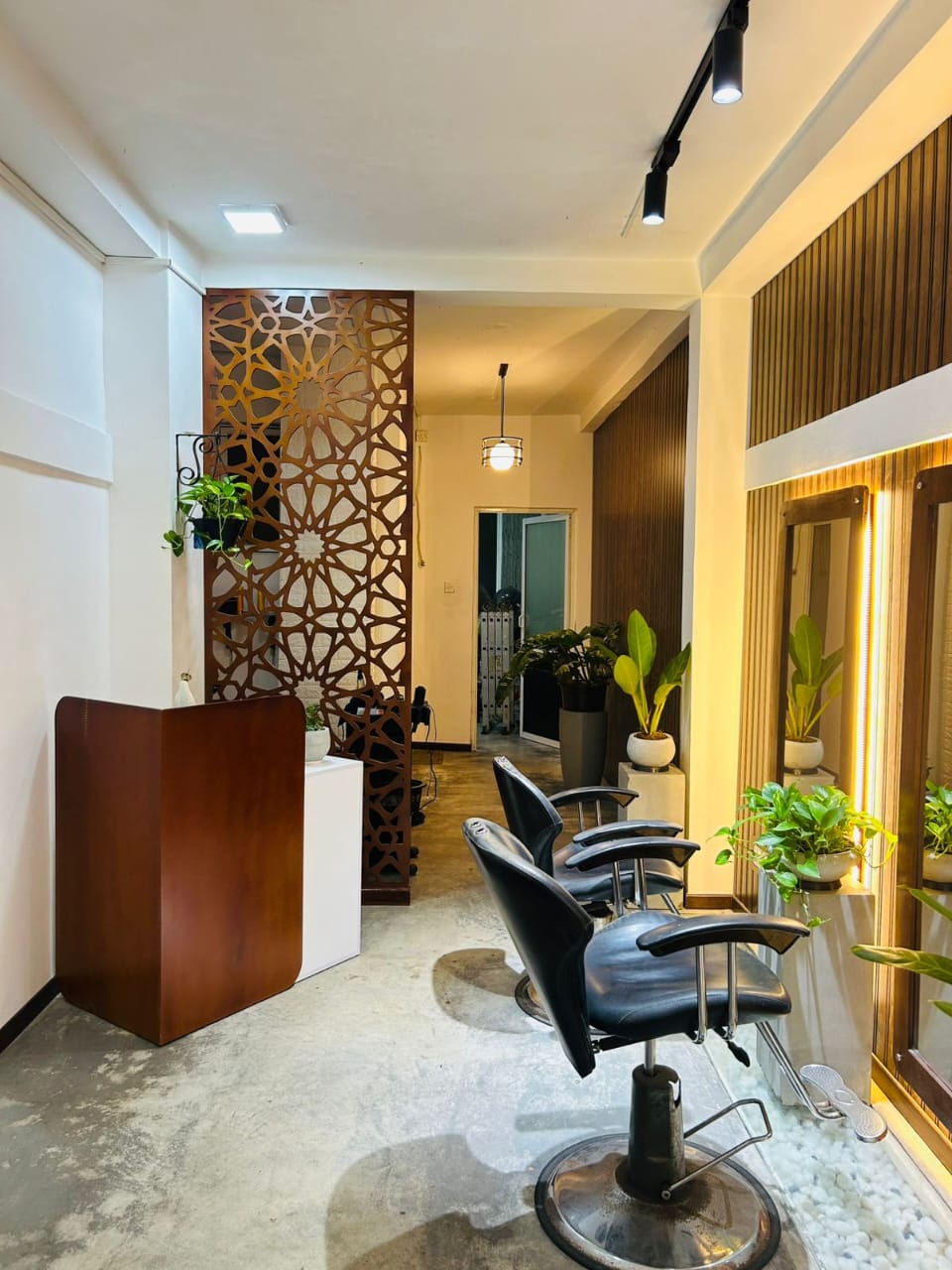 Trinity Interior — Project 37